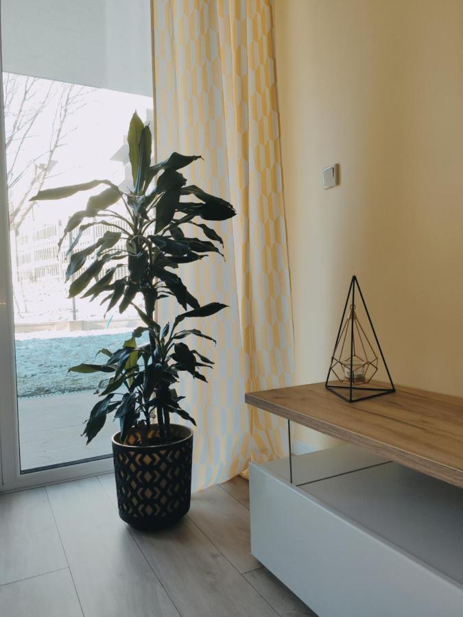 Przytulny Apartament Z Ogrodkiem Krakau Buitenkant foto